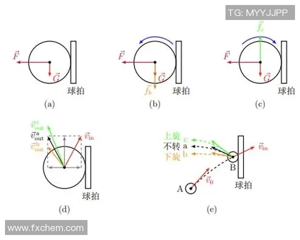 科学乒乓球训练新方法：掌握节奏提升击球精准度与反应速度