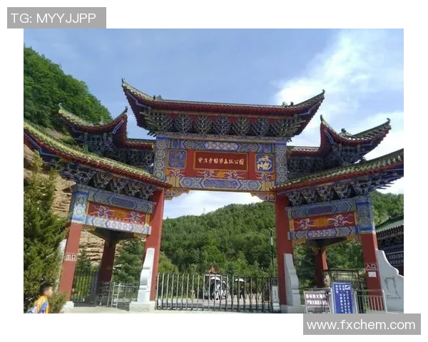 重庆滑板队的奋斗与成长：一段关于激情与坚持的纪实之旅