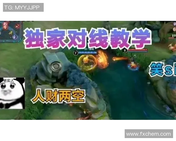 陈芳独家分享王者荣耀游戏技巧与心得助你快速提升段位与战斗力